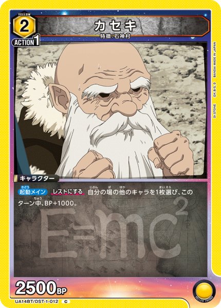 画像1: UA14BT/DST-1-012 C　カセキ (1)