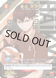 パラレル/AP】 - ユニオンアリーナシングル＆デッキ販売｜トレカっち