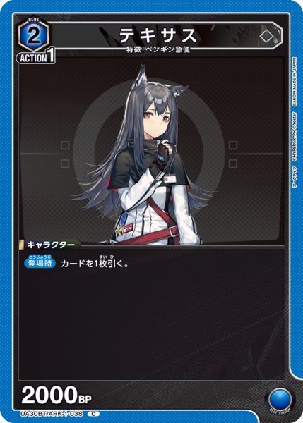 画像1: UA30BT/ARK-1-038 C　テキサス (1)