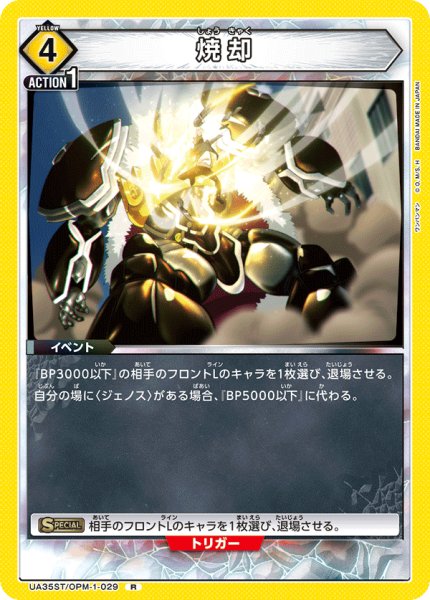 画像1: UA35ST/OPM-1-029 R　焼却 (1)
