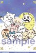 画像1: BR　 みんな大集合! (1)