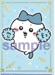 画像1: BR　ファイト　ハチワレ (1)