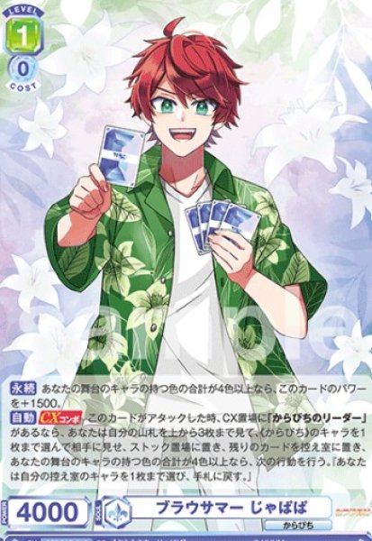 画像1: RR ブラウサマー じゃぱぱ (1)