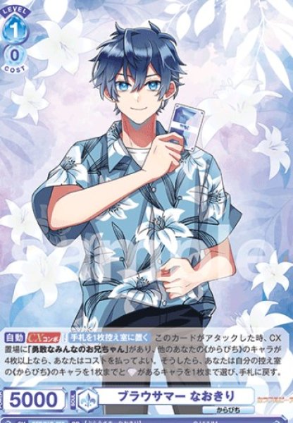 画像1: RR  ブラウサマー なおきり (1)