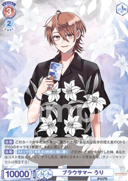画像1: RR   ブラウサマー うり (1)