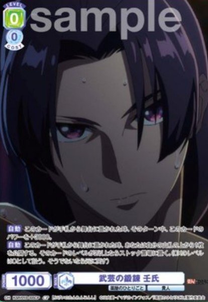 画像1: CP　武芸の鍛錬　壬氏 (1)