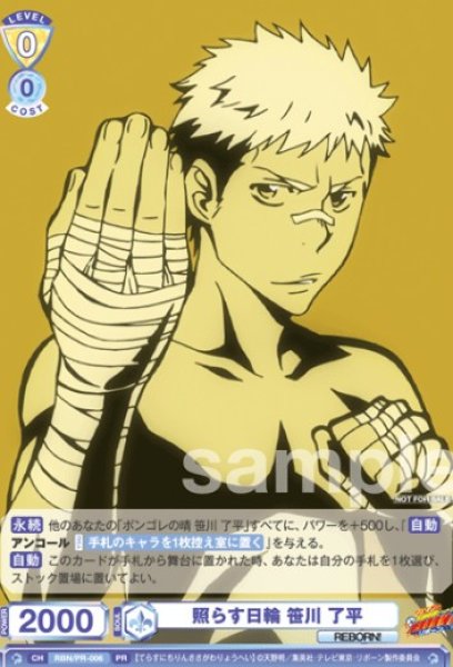 画像1: PR　照らす日輪 笹川 了平 (1)