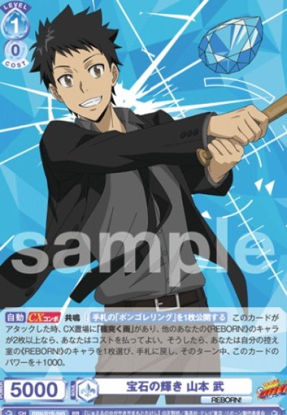画像1: RR　宝石の輝き 山本武 (1)