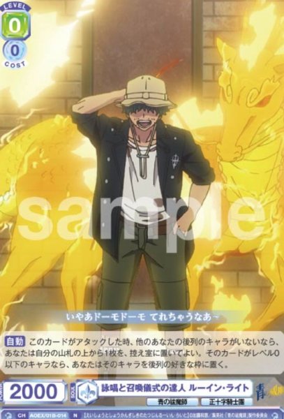画像1: N　詠唱と召喚儀式の達人　ルーイン・ライト (1)