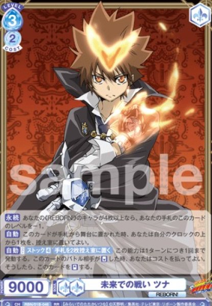 画像1: RR　 未来での戦い ツナ (1)