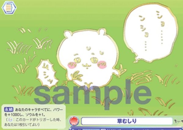 画像1: SP　くさむしり (1)