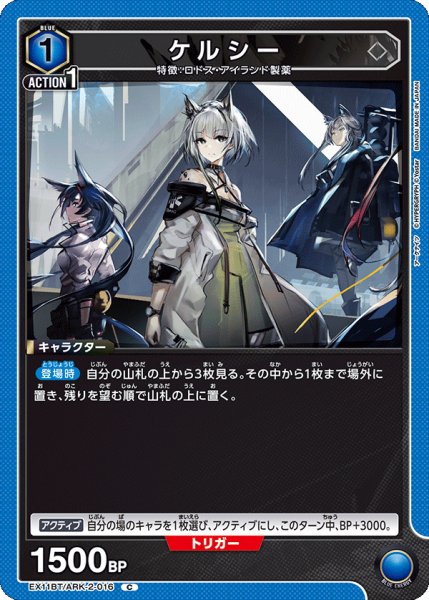 画像1: ケルシー　C (1)