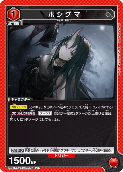 画像1: ホシグマ　C (1)