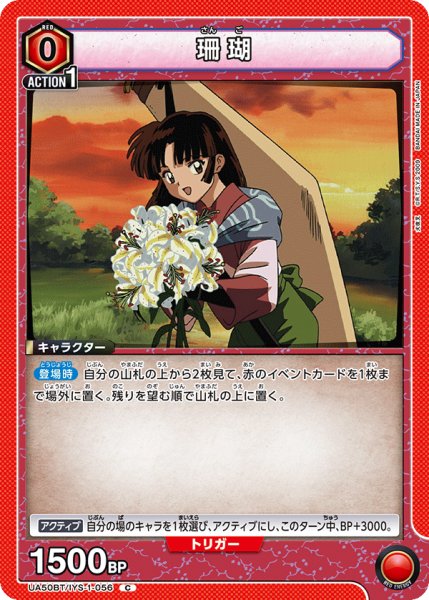 画像1: 珊瑚 C (1)