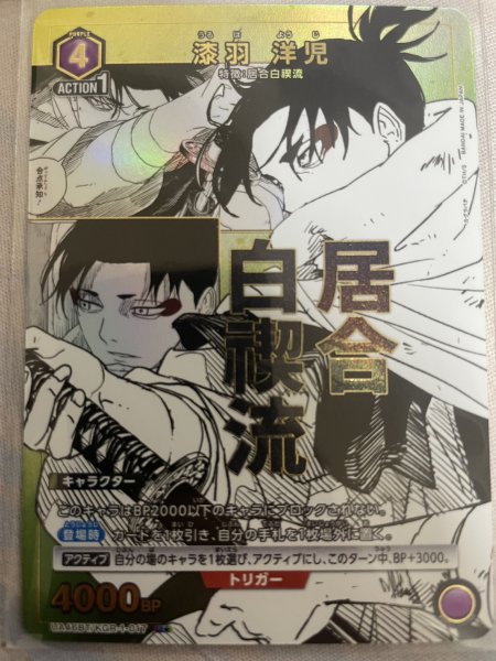 画像1: 【パラレル】漆羽 洋児　U★ (1)