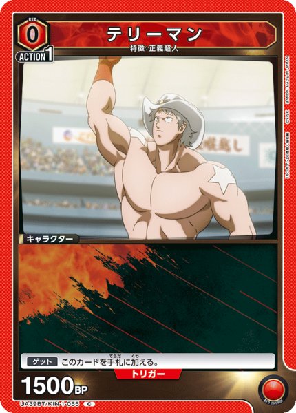 画像1: テリーマン C (1)