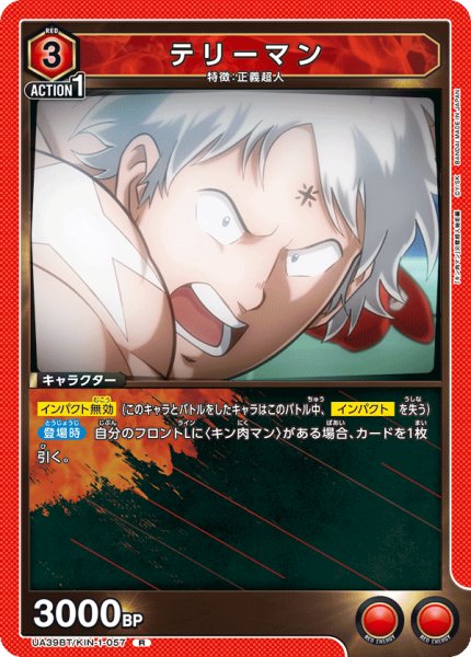 画像1: テリーマン R (1)