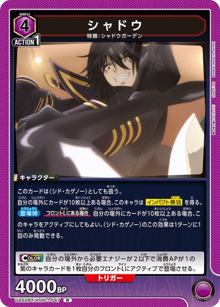 画像1: シャドウ R (1)