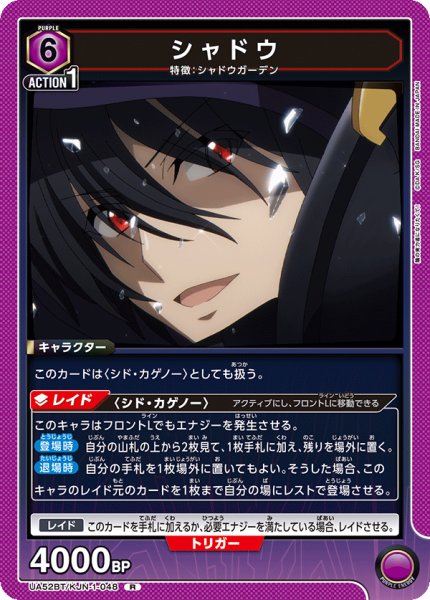 画像1: シャドウ R (1)