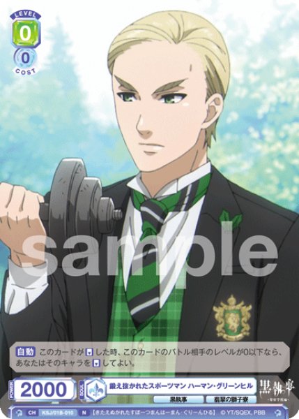 画像1: N 鍛え抜かれたスポーツマン ハーマン・グリーンヒル (1)
