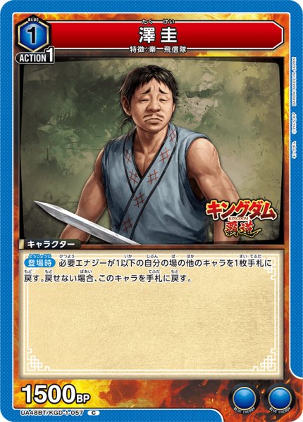 画像1: 澤圭　C (1)