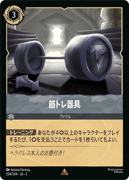 画像1: 筋トレ器具【JA2 R】(204/204) (1)
