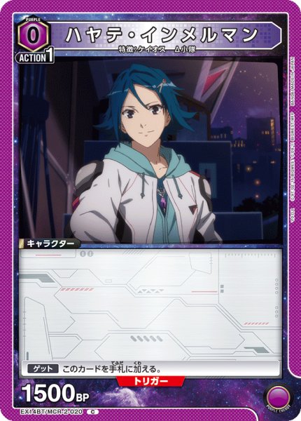 画像1: ハヤテ・インメルマン C (1)