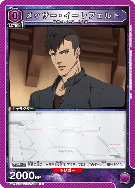 画像1: メッサー・イーレフェルト C (1)