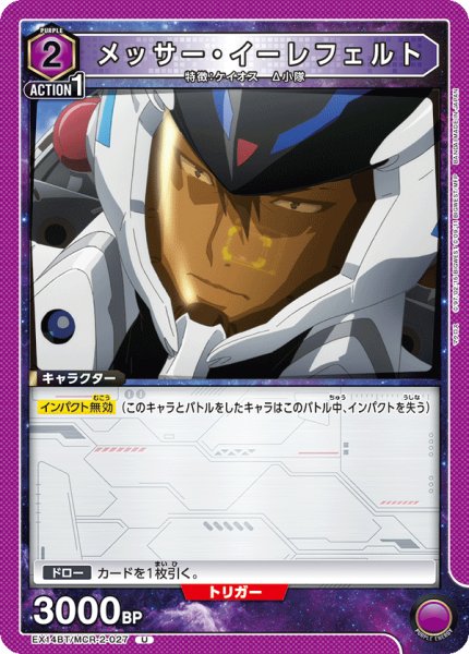 画像1: メッサー・イーレフェルト U (1)