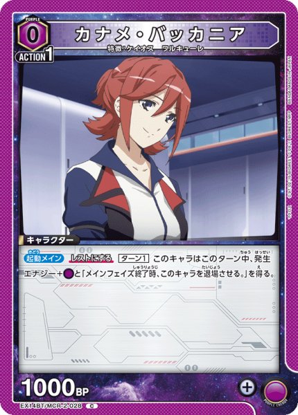 画像1: カナメ・バッカニア C (1)