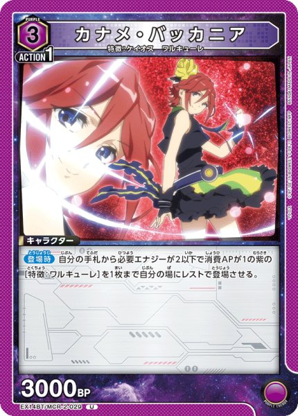 画像1: カナメ・バッカニア U (1)