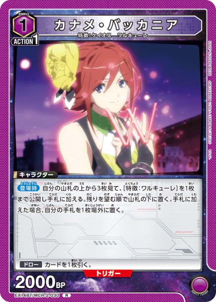 画像1: カナメ・バッカニア R (1)