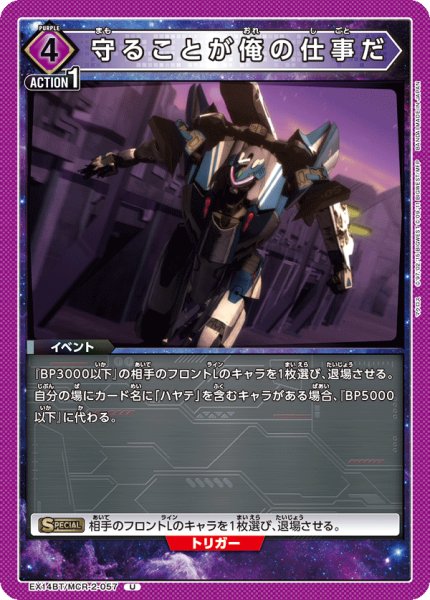 画像1: 守ることが俺の仕事だ U (1)