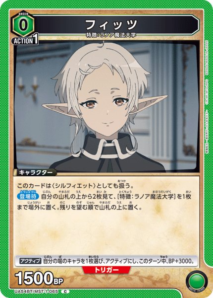 画像1: フィッツ C (1)