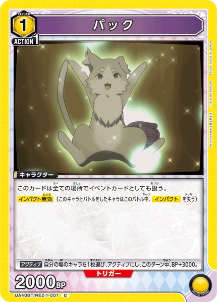 画像1: パック　C (1)