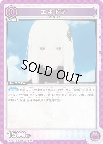 画像1: エキドナ　C (1)