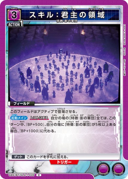 画像1: スキル：君主の領域　C (1)