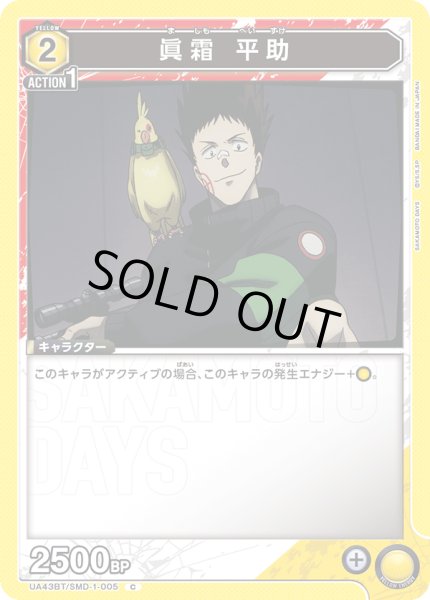 画像1: COMING SOON (1)