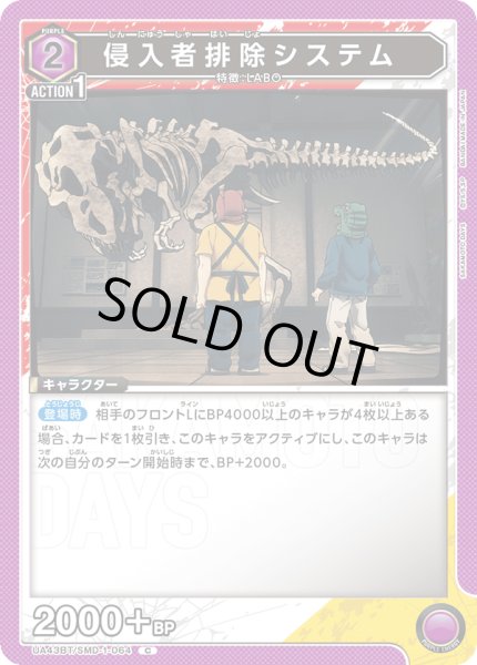 画像1: COMING SOON (1)