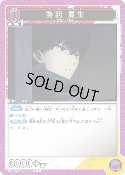 画像1: COMING SOON (1)