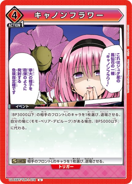 画像1: キャノンフラワー　U (1)