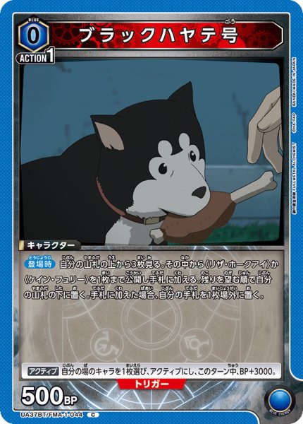 画像1: ブラックハヤテ号 C (1)